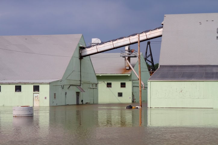 Flooded Farmland